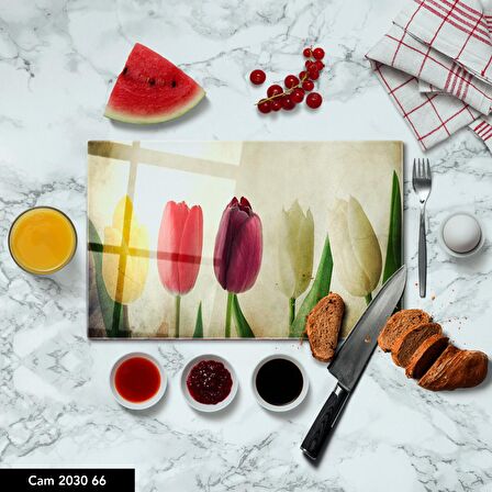 ANTİBAKTERİYEL CAM KESME TAHTASI | BASKILI KESİM TABLASI | 25x35 cm